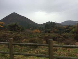 img_2413