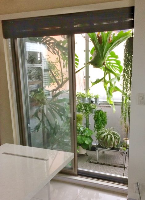 共同diy 自宅ベランダに観葉植物用サンルームを自作 フレームdiyラボ